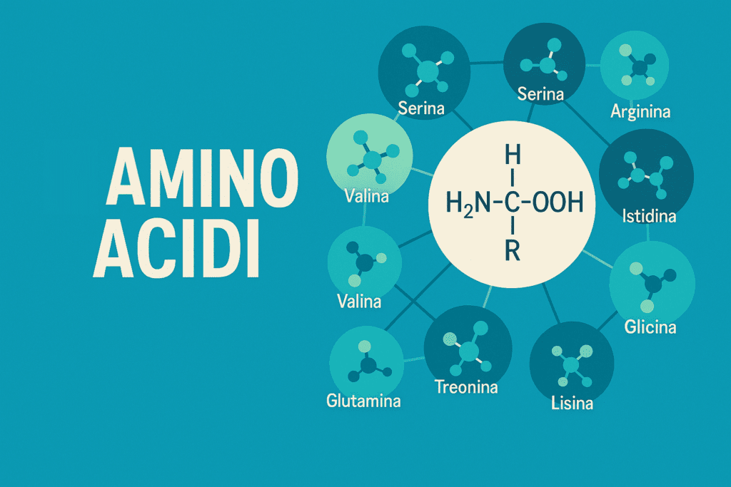 Aminoacidi: l’Alfabeto Segreto della Vita